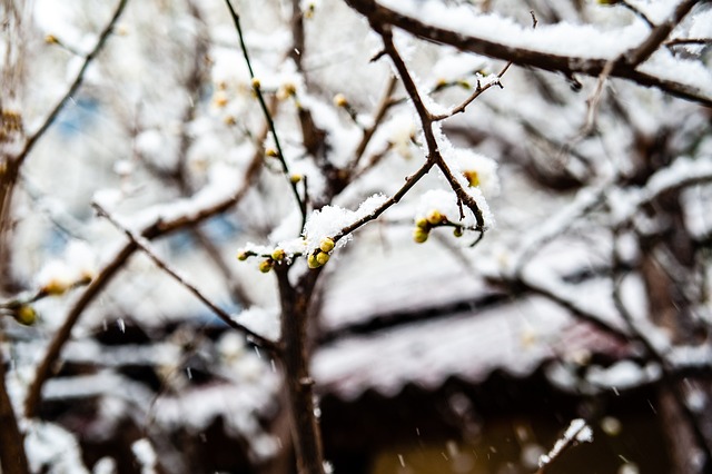 节奏陷